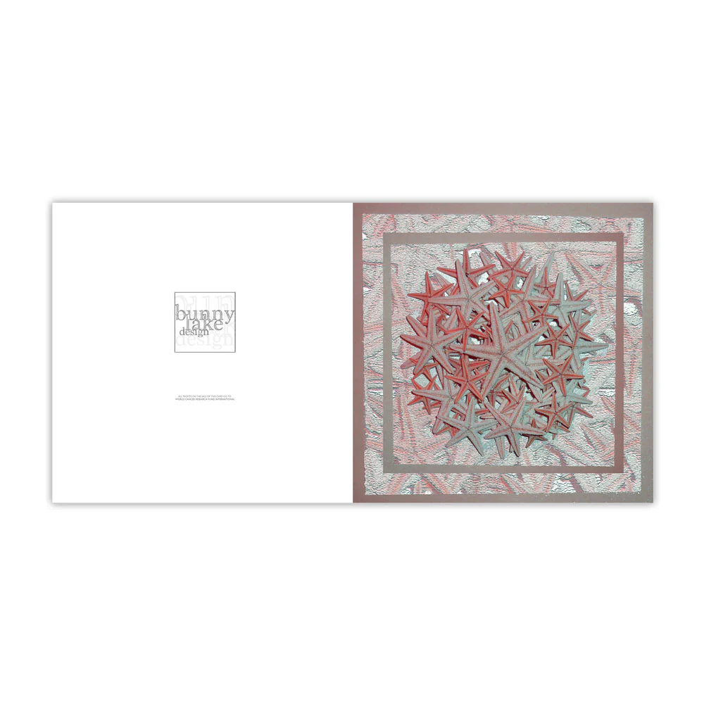 Starfish Greeting Card Bundle - Image 4
